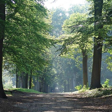 Luxe Safaritent Medley 5 Persoons Op Camping Rijsterbos Dış mekan fotoğraf