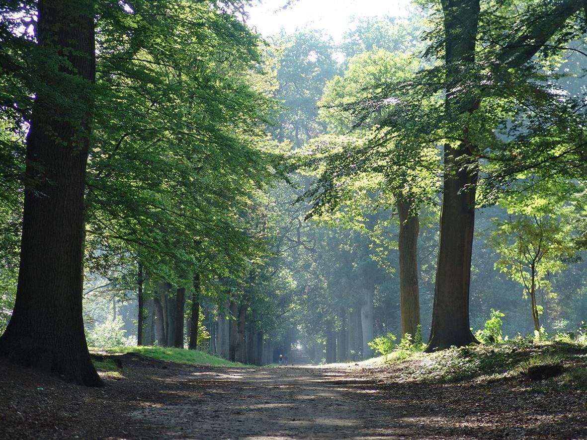 Luxe Safaritent Medley 5 Persoons Op Camping Rijsterbos Dış mekan fotoğraf