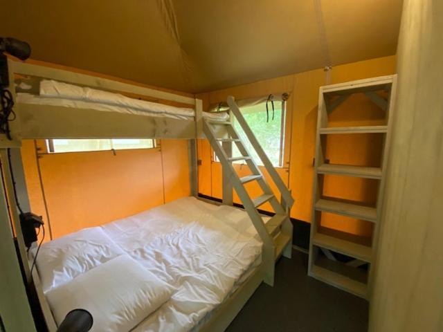 Luxe Safaritent Medley 5 Persoons Op Camping Rijsterbos Dış mekan fotoğraf